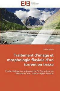 bokomslag Traitement D Image Et Morphologie Fluviale D Un Torrent En Tresse