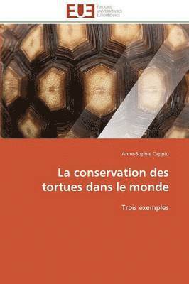 La Conservation Des Tortues Dans Le Monde 1