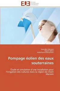 bokomslag Pompage ?olien Des Eaux Souterraines