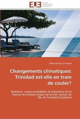 bokomslag Changements climatiques