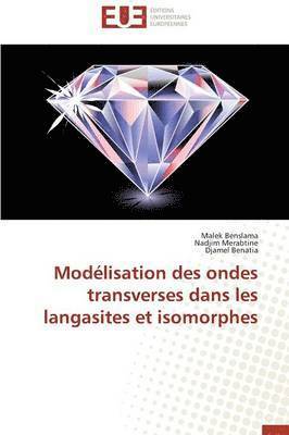 Malek Benslama, Nadjim Merabtine, Djamel Benatia - Modélisation des ondes transverses dans les langasites et isomorphes, Häftad