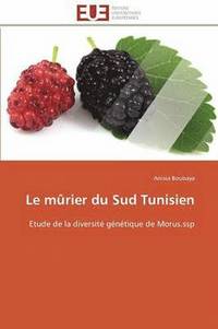 bokomslag Le M rier Du Sud Tunisien