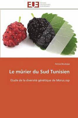 Le Mrier Du Sud Tunisien 1