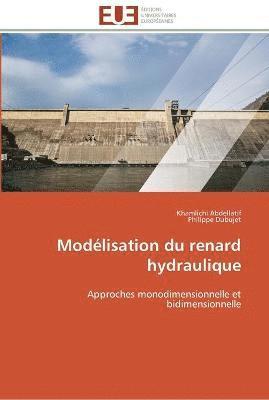 bokomslag Modélisation du renard hydraulique