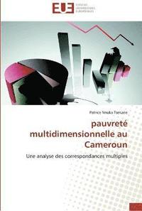 bokomslag Pauvreté multidimensionnelle au cameroun