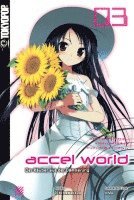 bokomslag Accel World - Novel 03