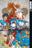 bokomslag Black Clover 12