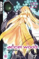 bokomslag Accel World - Novel 15