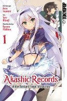 Akashic Records of the Bastard Magic Instructor 01 1