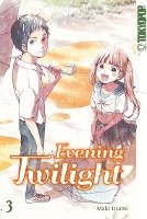 bokomslag Evening Twilight 03