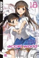 Accel World - Novel 18 1