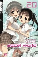 Accel World - Novel 20 1