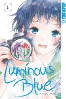 bokomslag Luminous Blue 01