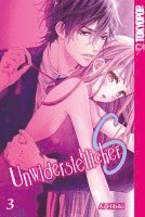 Ai Hibiki - Unwiderstehlicher S 03, Häftad