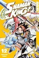 bokomslag Shaman King 12