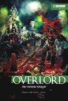 bokomslag Overlord Light Novel 02