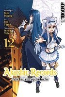 Akashic Records of the Bastard Magic Instructor 12 1