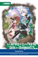 bokomslag Is it wrong to try to pick up Girls in a Dungeon? Light Novel 02