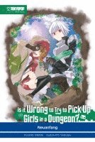 Fujino Omori, Suzuhito Yasuda - Is it wrong to try to pick up Girls in a Dungeon? Light Novel 02, Häftad