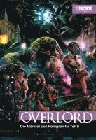 bokomslag Overlord Light Novel 06