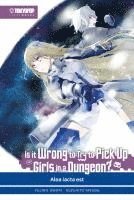 bokomslag Is it wrong to try to pick up Girls in a Dungeon? Light Novel 03