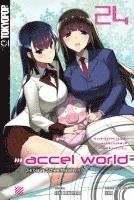 bokomslag Accel World - Novel 24
