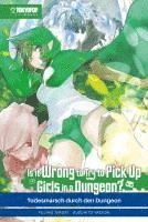 bokomslag Is it wrong to try to pick up Girls in a Dungeon? Light Novel 05