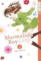 bokomslag Marmalade Boy Little 01