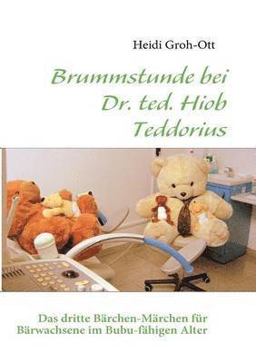 bokomslag Brummstunde bei Dr. ted. Hiob Teddorius