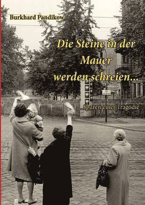 bokomslag Steine in der Mauer werden schreien...