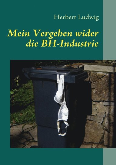 bokomslag Mein Vergehen wider die BH-Industrie