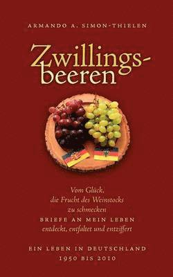 bokomslag Zwillingsbeeren