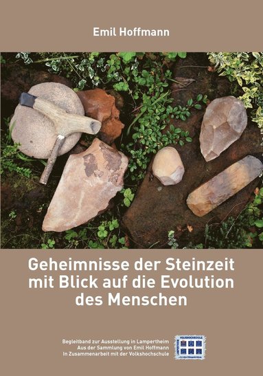 bokomslag Geheimnisse der Steinzeit mit Blick auf die Evolution des Menschen