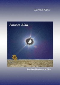 bokomslag Poröses Blau