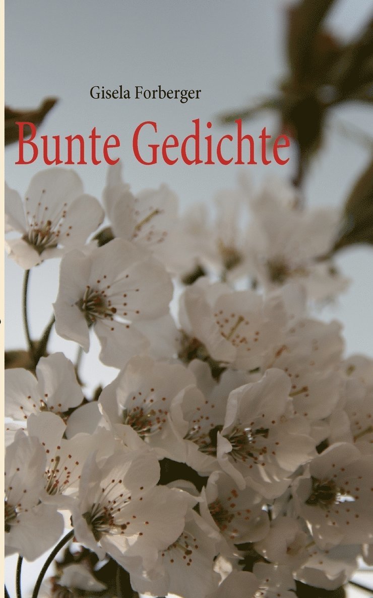 Gisela Forberger - Bunte Gedichte, Häftad