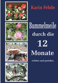 bokomslag Bummelmeile durch die 12 Monate