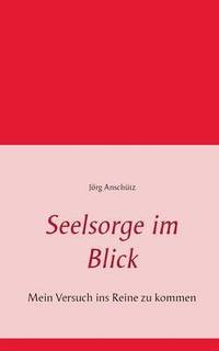 bokomslag Seelsorge im Blick