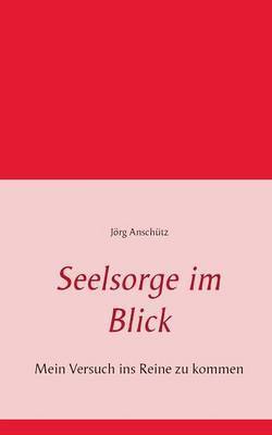 bokomslag Seelsorge im Blick