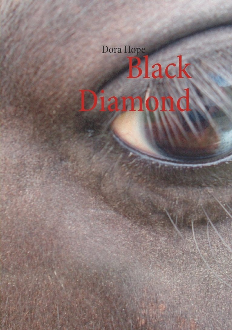 Dora Hope, Christine Krüger - Black Diamond, Häftad