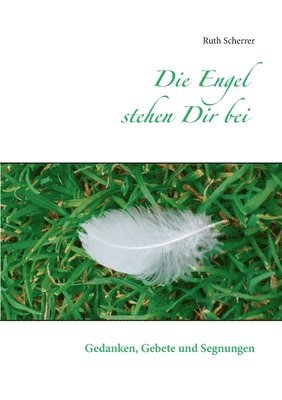 Ruth Scherrer - Engel stehen Dir bei, Häftad