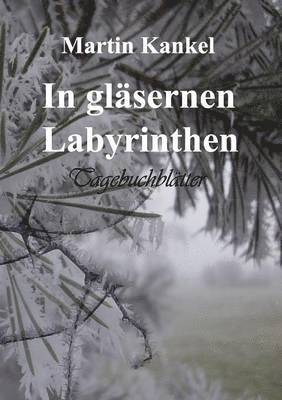 bokomslag In glsernen Labyrinthen