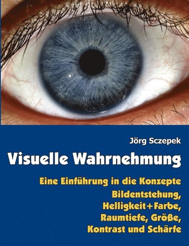 bokomslag Visuelle Wahrnehmung