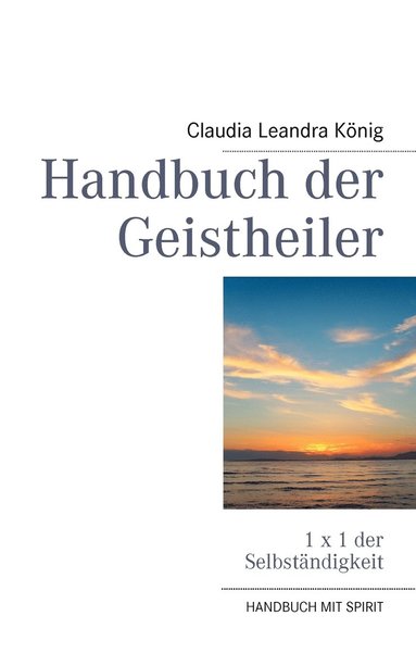 bokomslag Handbuch der Geistheiler