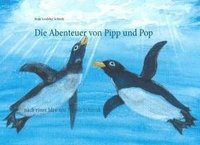bokomslag Die Abenteuer von Pipp und Pop