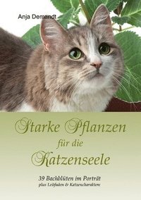 bokomslag Starke Pflanzen fr die Katzenseele