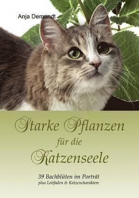 bokomslag Starke Pflanzen Fur Die Katzenseele