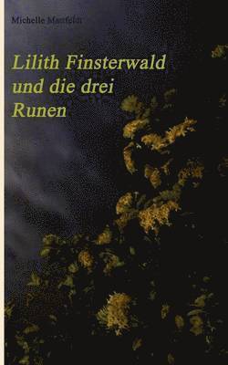 bokomslag Lilith Finsterwald und die drei Runen