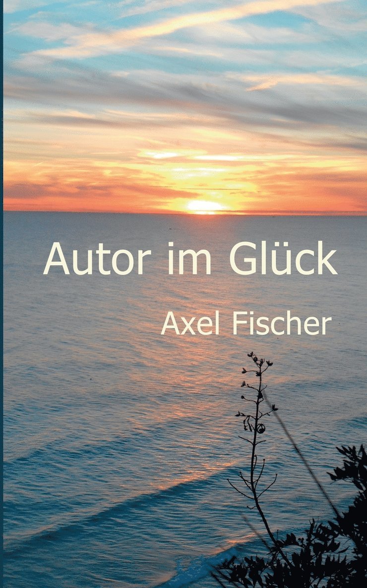 Axel Fischer - Autor im Glück, Häftad