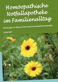 bokomslag Homopathische Notfallapotheke im Familienalltag