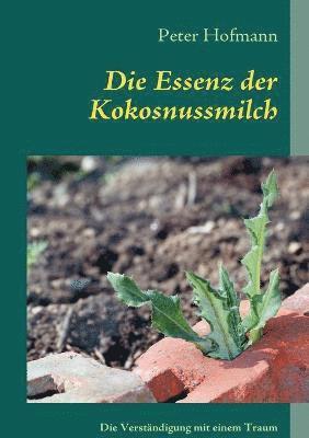 Die Essenz der Kokosnussmilch 1